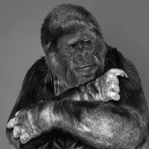Koko